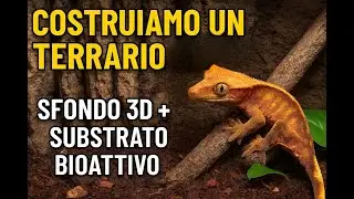 TERRARIO per GECHI CILIATUS  / Sfondo 3D + SubStrato BioAttivo