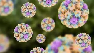 Brush Cytology A Simple Diagnostic Tool in OralOropharyngeal Lesions with P16 Immunocytochemistry