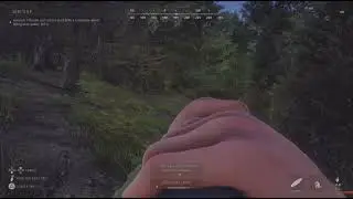 Way of The Hunter 5 Star Sitka Deer on Aurora Shores 🦌🏹🎯