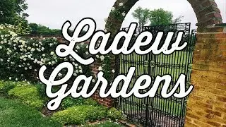 O // Ladew Topiary Gardens