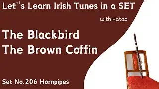 Set 206 The Blackbird - The Brown Coffin (Hornpipes)