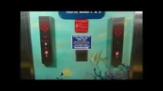 North Redington Beach doubletree beach resort tour and elevators