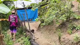 DOIS SÍTIOS PARA VENDAS / REGIÃO RURAL DE JOAQUIM GOMES -AL / + PRECISAMENTE SANTA APÓSTOLOS