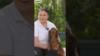 🐕&zwj;🦺 This dog had ONE job 🦡