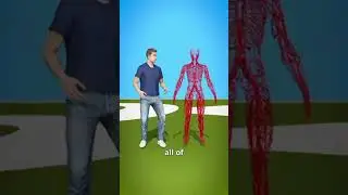 💥Human body के चमत्कार करने वाले अंग जानिए 👈 #facts #sciencefacts  #bodyparts