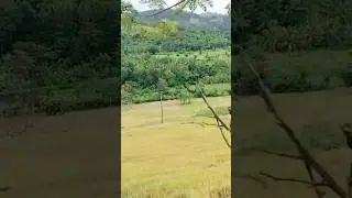 Rikillagaskada villege😍(before 3 years)#srilanka #travel #nature #kandy  #environment #villege_life