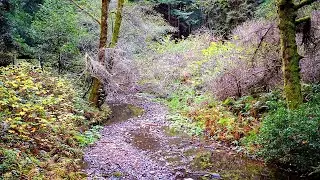Top rated Tourist Attractions in Daly City, United States | 2020