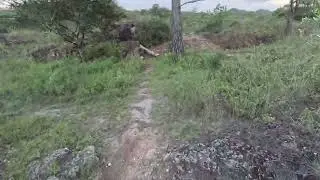 MTB HONDURAS, epicentro hasta el cachorro EBIKE modo turbo