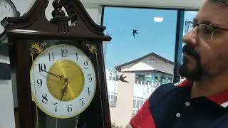 Como instalar e regular o Relógio Carrilhão Pêndulo 6446 Westminster da Herweg