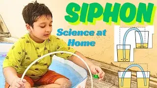 Science At Home | THE SIPHON | Must Know Experiment @ZirZayment