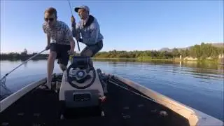 Team BFSA catching some BIG largemouth in local tournament