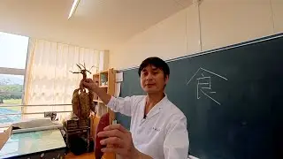 大崎町PRムービー「僕は、鹿児島県大崎町の、カブトムシ。」　ロングver.
