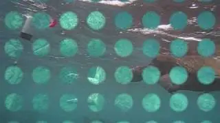 Rainy Day Diving Maui