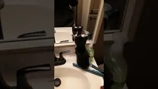 Kitten sees mirror for first time