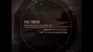Raul Robado: Subaru (Original Mix)