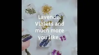 VINADA Sparkling Bloom