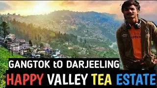 Happy Valley Tea Estate Darjeeling vlog, Gangtok to Darjeeling trip