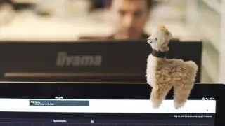 Waarom werken als Developer bij FD Mediagroep?