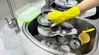 Watch-This Isn’t Just Dishwashing – It’s Therapy in Every Splash!