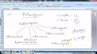 Methanogenesis | Diversity in Anoxic Ecosystems | Microbial Diversity
