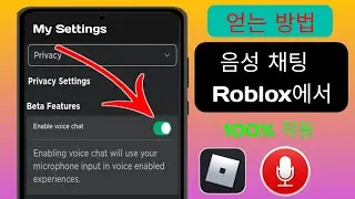 Roblox에서 음성 채팅을 받는 방법(2024) | Roblox에서 음성 채팅 활성화