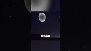 What 
