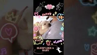 Music for brain development and memory improvement ♫ Deep sleep ♫