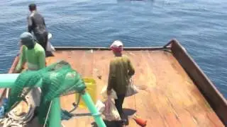 A rare glimpse from on board an Illegal Hulbot Hulbot In Daanbantayan Municipal Waters