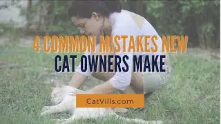 4 COMMON MISTAKES NEW CAT OWNERS MAKE