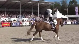 Dutch Vaulting Show Team Bit Piste Horse Event 2016