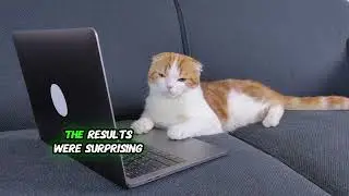 Do Cats Understand Human Words? New Study Reveals Surprising Findings!