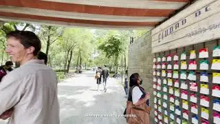 ALAMEDA CENTRAL PARK IN MEXICO CITY (Mextropoli Architecture Festival)