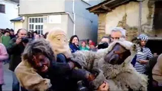 Oso de Salcedo 2012