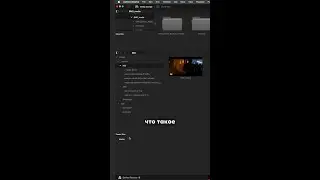 Урок Power Bins в курсе Edit