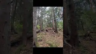 Wandern Buchholz in der Nordheide/Handeloh September 25