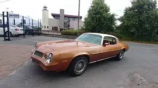 Chevrolet Camaro LT 4.1  1978 6cyl  1st owner