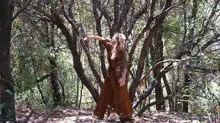 V&iacute;deo Arte BOSQUE