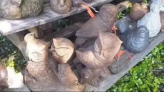 Hernando Farmers Market and Homestead Nursery Adventure