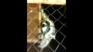 VID 20140920 203056
