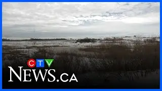 Warm weather raises concerns for Saskatchewan farmland