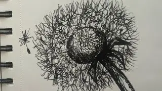 How to Draw a Dandelion With Ink Pen (Simple)