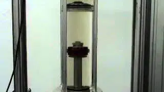 BSB Clear Shock