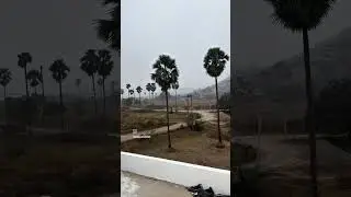 Zx10r✅️ ke sound🔊🏍 reaction dekho😳👀😲