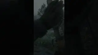 Elephant Rifle Cleaning #rdr2online