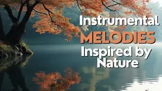 Harmony between Nature and Music: Perfect Soundscapes for Relaxing 🌿 🎶 🎵 🌾 🎧