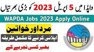 WAPDA Internship Program 2023 Apply Online