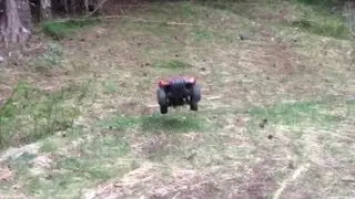 Slash running vid #3