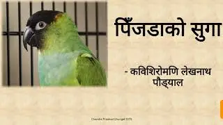 पिँजडाको सुगा - लेखनाथ पौडेल Pinjada Ko Suga Lekhnath Poudel