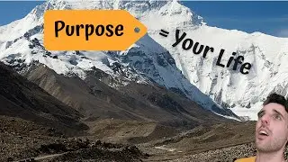 Find Your Purpose