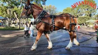 Disneyland Horse-Drawn Street Car Trolley - 